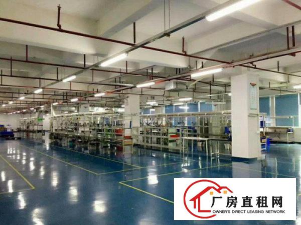  。电子线材。塘厦科苑城2000平米豪装标准楼上厂房带喷淋。。