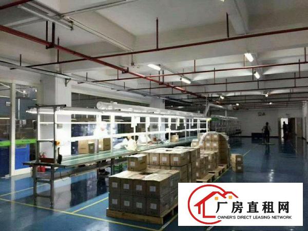  。电子线材。塘厦科苑城2000平米豪装标准楼上厂房带喷淋。。