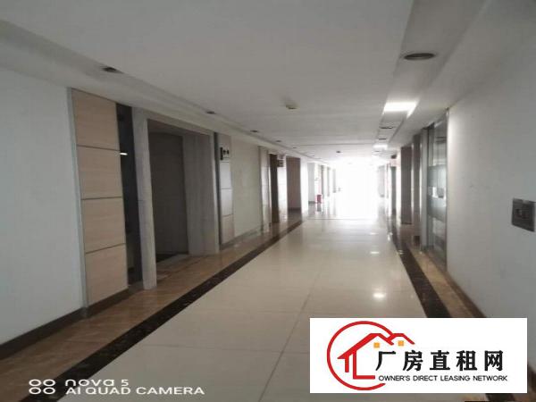  。电子线材。塘厦科苑城2000平米豪装标准楼上厂房带喷淋。。