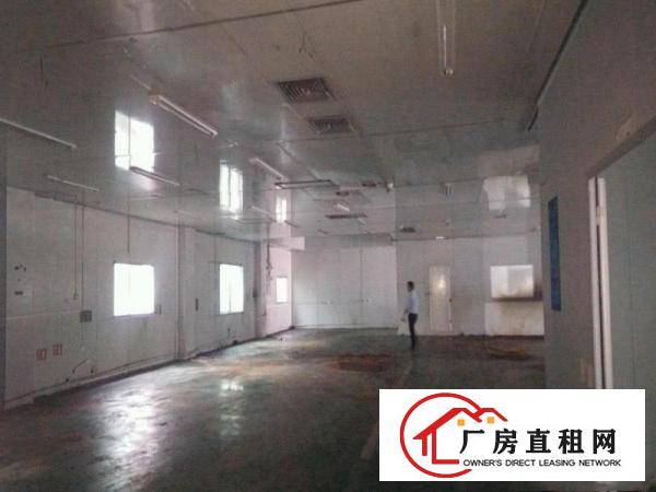  【~田心1800平独院厂房，精装修钢构，临科苑城/大坪高速】