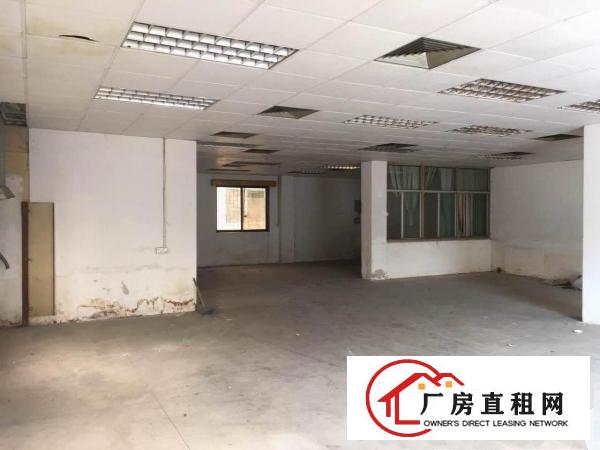  塘厦诸佛岭，一楼独院厂房1400平米，牛角和办公室装修