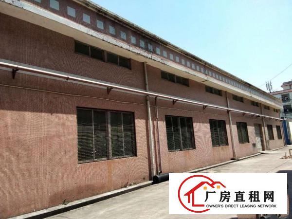 出租塘厦镇桥陇村沙布工业园厂房