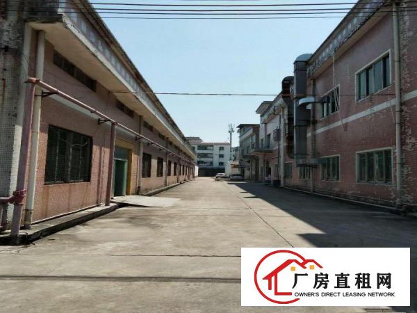  出租塘厦镇桥陇村沙布工业园厂房