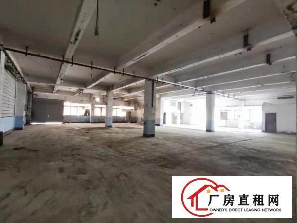  。实拍，塘厦林村3F厂房1350平米，豪华办公室装修。