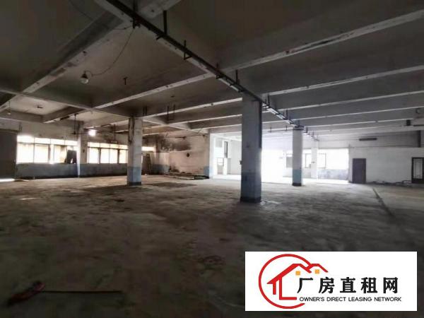  。实拍，塘厦林村3F厂房1350平米，豪华办公室装修。