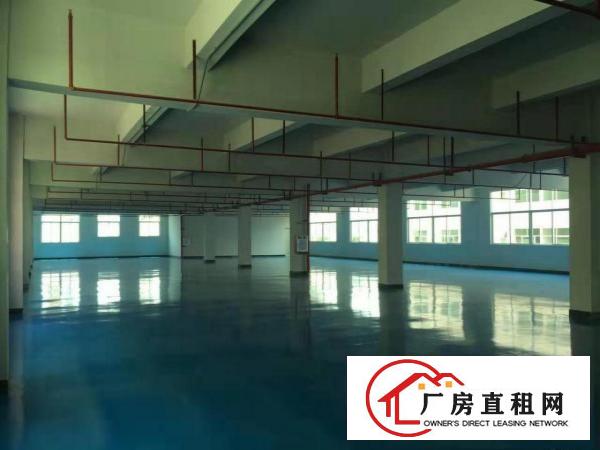  ~~沙湖精装修的1200平方工业园二楼厂房，带宿舍~~