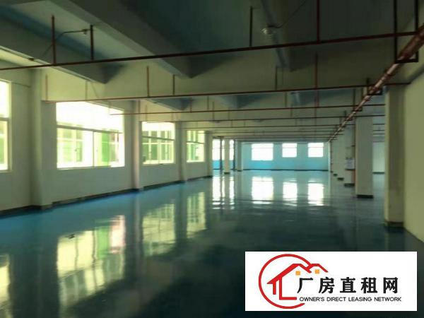  ~~沙湖精装修的1200平方工业园二楼厂房，带宿舍~~