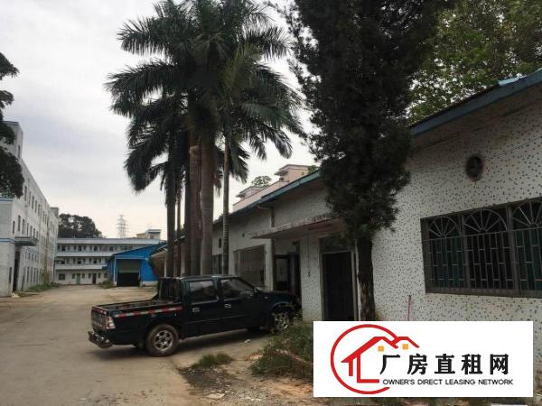  内有多套！石潭埔750平方米单一层钢构厂房部分装修租