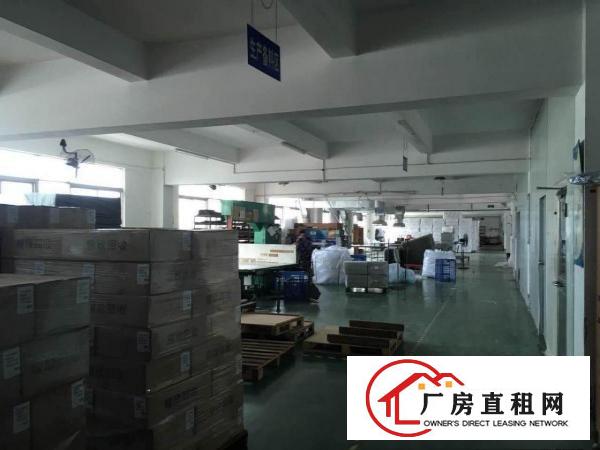  138工业区1000平方带前台和办公室标准3楼厂房，临林村