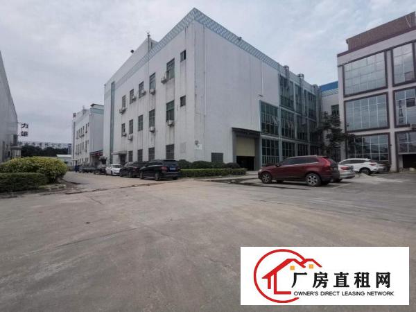  138工业区1000平方带前台和办公室标准3楼厂房，临林村