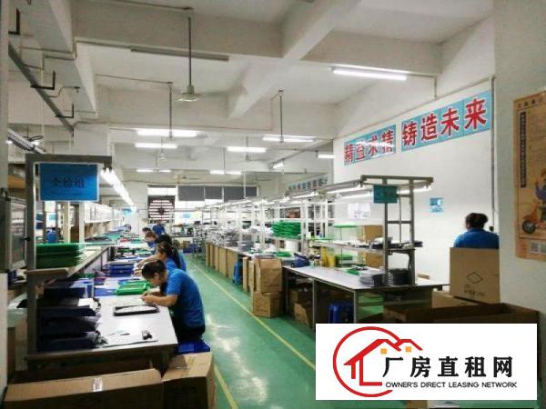  带红本！龙背岭450方楼上厂房，免装修，挨科苑城/田心