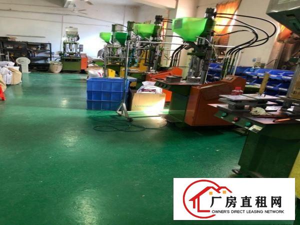  东莞塘厦龙背岭厂房转租，