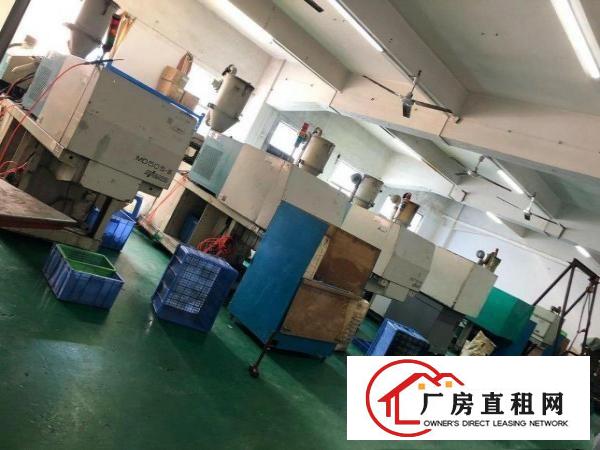  东莞塘厦龙背岭厂房转租，