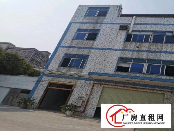  138工业区低价厂房招租