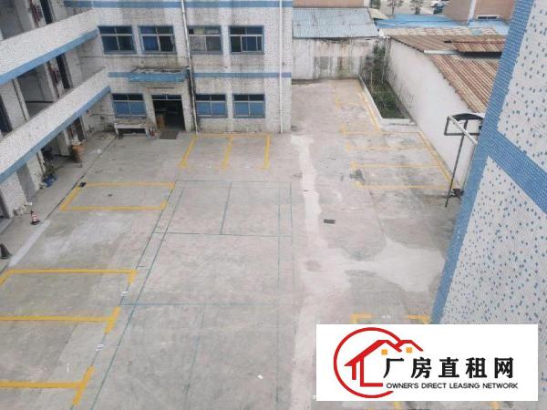  迎宾大道边上低价厂房出租
