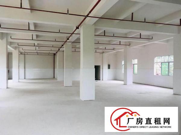 ~~原房东独栋标准厂房：石鼓3800平，林村3300平~~
