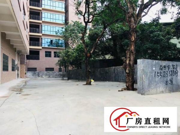  ~~原房东独栋标准厂房：石鼓3800平，林村3300平~~