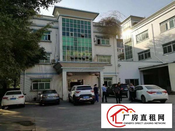  塘厦厂房出租龙背岭原房东独院厂房1200平米：地坪漆 办公室