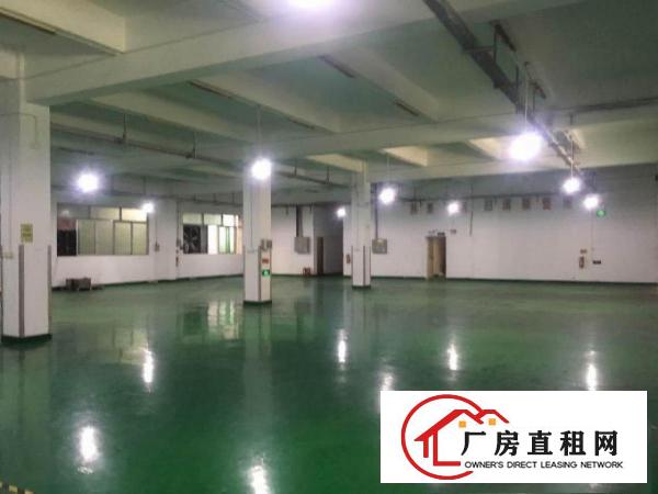  ~Hot：沙湖1000平米带地坪漆和照明一楼厂房：挨蛟乙塘~