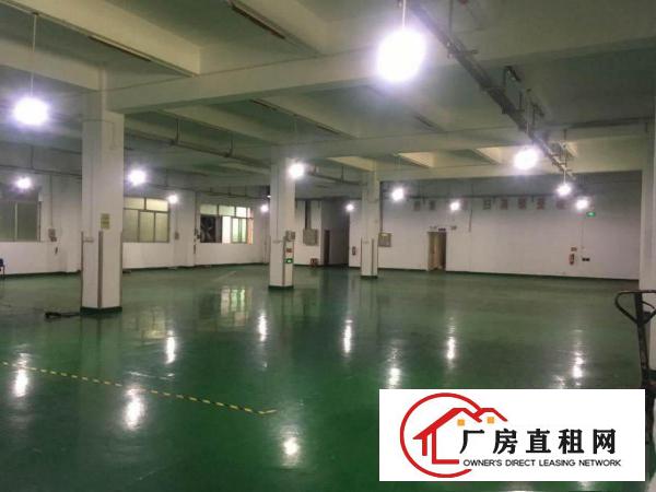  ~Hot：沙湖1000平米带地坪漆和照明一楼厂房：挨蛟乙塘~