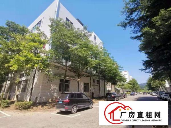  ~Hot：沙湖1000平米带地坪漆和照明一楼厂房：挨蛟乙塘~