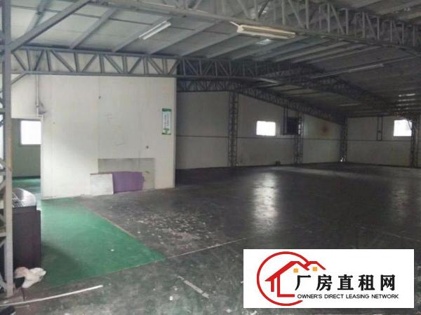  ~实在房东无套路~石鼓1000方独立钢构厂房带空地出租~