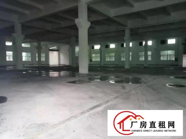  形象好，塘厦凤凰岗4000平方独院厂房出租