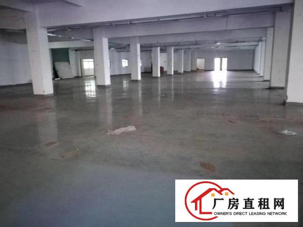  路过的老板，以下厂房急租，二楼，1875平，就问你合不合适用