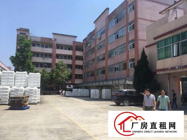  塘厦蛟乙塘1000平方米独院3楼厂房，挨沙湖/大坪高速出口