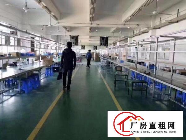  林村挨高速：工业区有800平方米的二楼厂房：有办公室