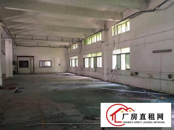  （实图拍摄）科苑城独院一楼厂房1000平方米带水电线路招租