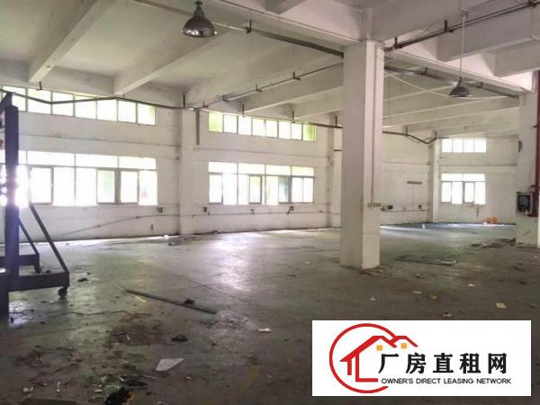  （实图拍摄）科苑城独院一楼厂房1000平方米带水电线路招租