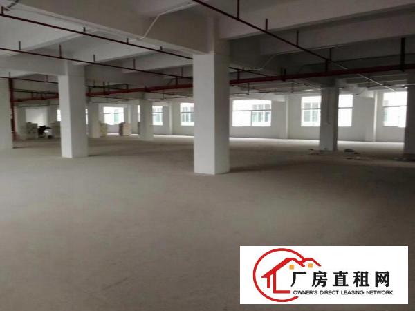  塘厦镇花园式原房东证件齐全独院