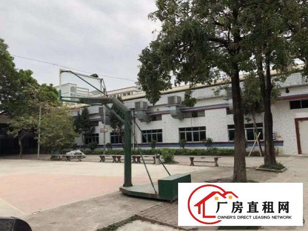  塘厦原房东花园式砖墙钢构独院实际面积出租