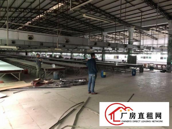  塘厦原房东花园式砖墙钢构独院实际面积出租