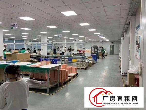  迎宾高速附近厂房招租