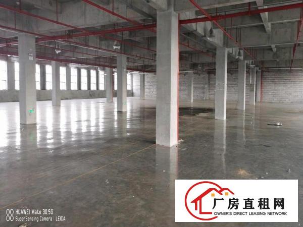 塘厦形象很好的厂房带装修