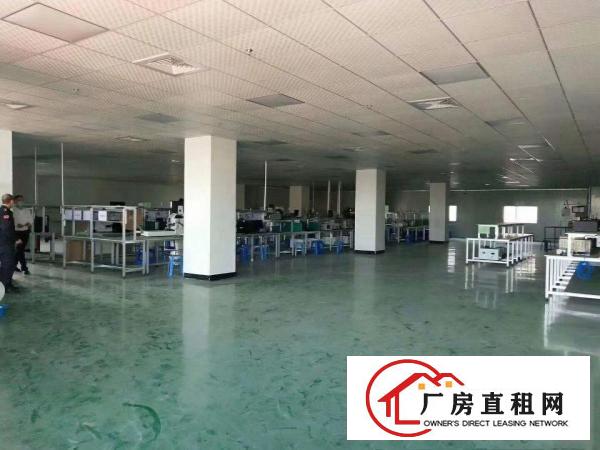  塘厦科苑城楼上现成装修1250平厂房出租