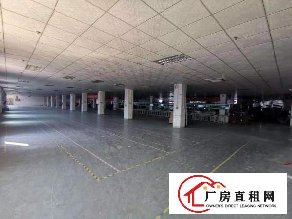  实拍图！！独栋标准厂房300平方米起租，优势：一楼，楼上分租