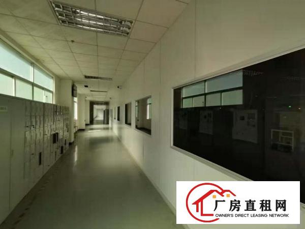  实拍图！！独栋标准厂房300平方米起租，优势：一楼，楼上分租
