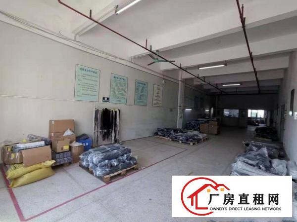  实拍图！！独栋标准厂房300平方米起租，优势：一楼，楼上分租