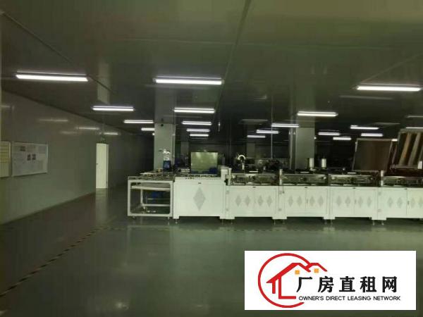  实拍图！！独栋标准厂房300平方米起租，优势：一楼，楼上分租