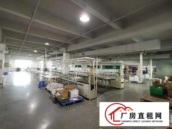  实拍图！！独栋标准厂房300平方米起租，优势：一楼，楼上分租