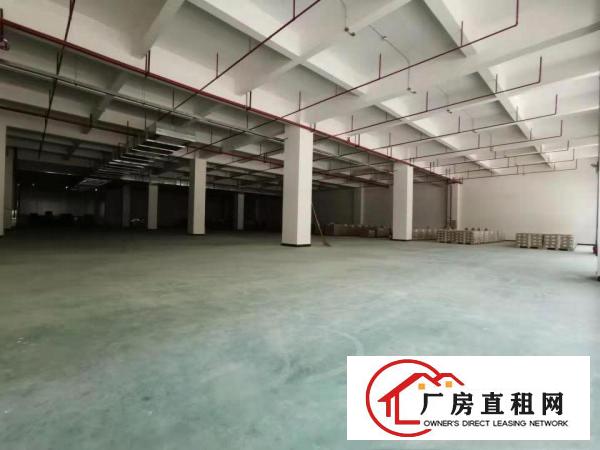  塘厦林村2460平米原房东一楼厂房，临东深二线，太阳城