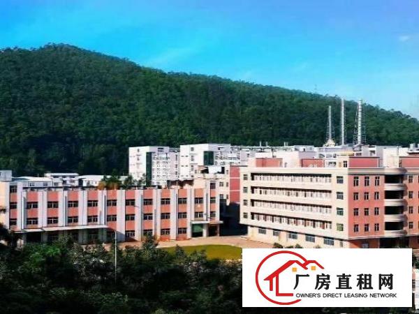  东莞市塘厦田心大型花园式独院厂房出租21000平方