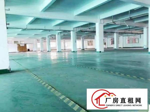  东莞市塘厦田心大型花园式独院厂房出租21000平方