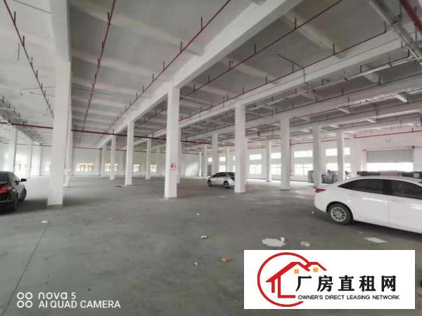  【一楼6米高，可分租】科苑城6800平方独栋标准厂房，临深圳