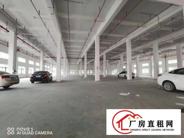  【一楼6米高，可分租】科苑城6800平方独栋标准厂房，临深圳