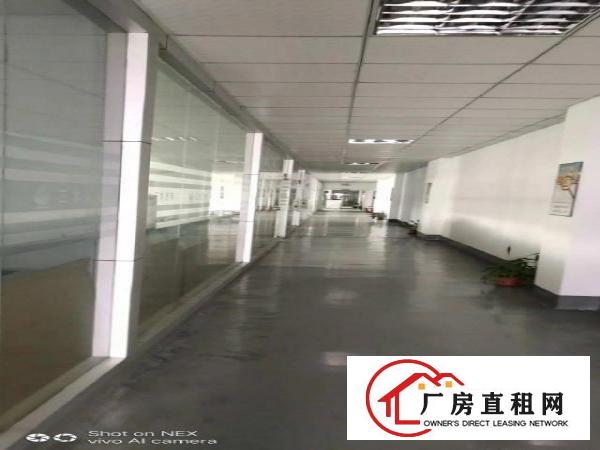  塘厦原房东高端厂房一楼三楼各8000平方出租精装修