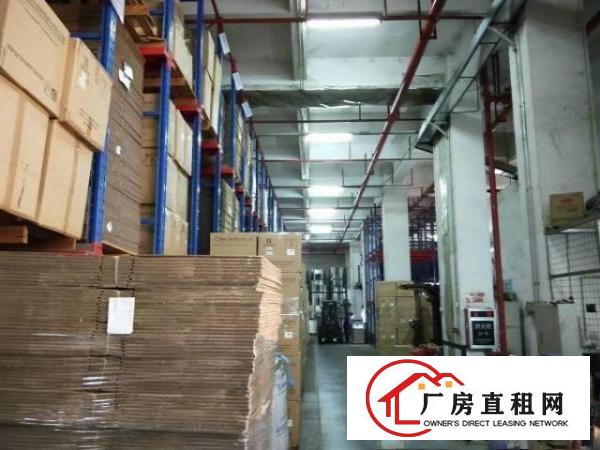  塘厦原房东高端厂房一楼三楼各8000平方出租精装修